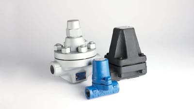 Bimetallic steam traps
